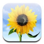 Foto iPad handleiding